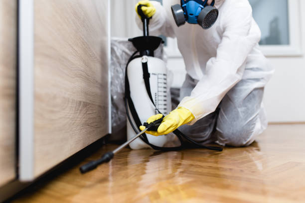 Best Exterminator Services  in Ellwood City, PA