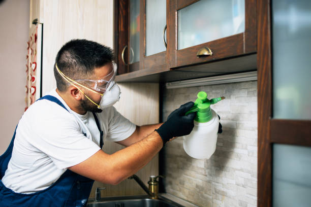 Best Best Pest Control Companies  in Ellwood City, PA