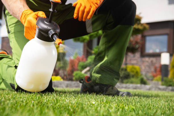 Best Best Pest Control Companies  in Ellwood City, PA